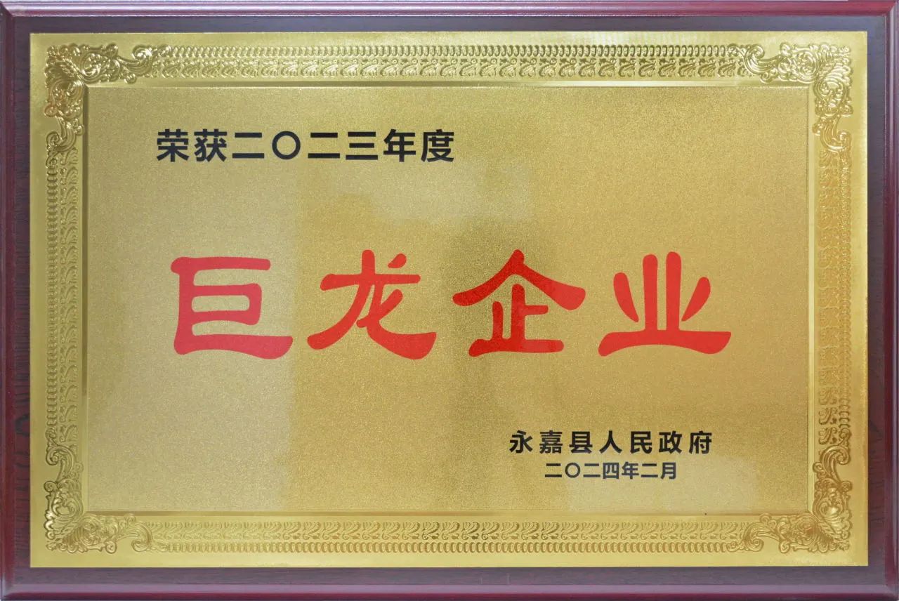 浙江永球科技再喜獲巨龍企業、縣長質量獎多項榮譽